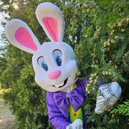 Easter Bunny Mascot Costume, Adult Mascot Costume, Party Mascot Costume, Event Mascot Costume, Birthday Party Costume, Luxury Mascot Costume