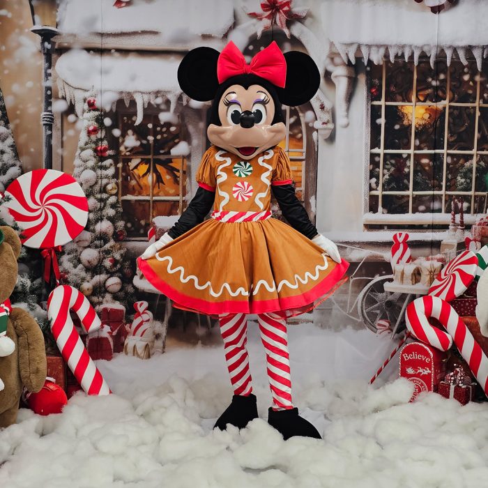 Mrs Mouse Mascot Costume, Adult Mascot Costume, Party Mascot Costume, Event Mascot Costume, Birthday Party Costume, Luxury Mascot Costume Active - Image 14