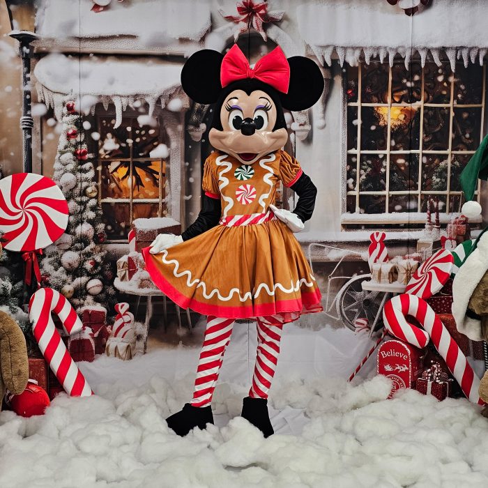 Mrs Mouse Mascot Costume, Adult Mascot Costume, Party Mascot Costume, Event Mascot Costume, Birthday Party Costume, Luxury Mascot Costume Active - Image 12