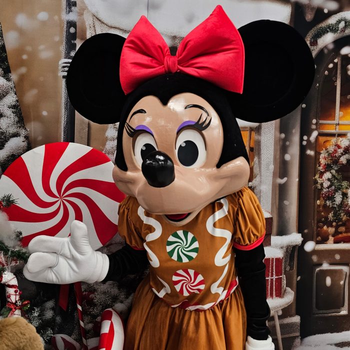 Mrs Mouse Mascot Costume, Adult Mascot Costume, Party Mascot Costume, Event Mascot Costume, Birthday Party Costume, Luxury Mascot Costume Active - Image 9