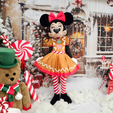 Mrs Mouse Mascot Costume, Adult Mascot Costume, Party Mascot Costume, Event Mascot Costume, Birthday Party Costume, Luxury Mascot Costume Active
