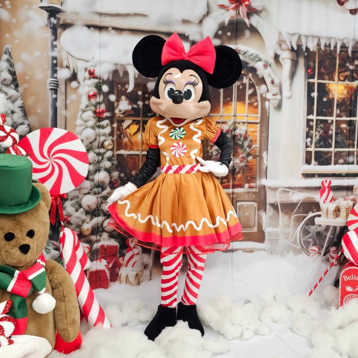 Mrs Mouse Mascot Costume, Adult Mascot Costume, Party Mascot Costume, Event Mascot Costume, Birthday Party Costume, Luxury Mascot Costume Active - Image 8