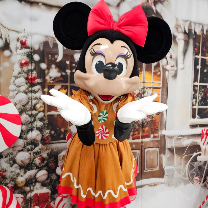 Mrs Mouse Mascot Costume, Adult Mascot Costume, Party Mascot Costume, Event Mascot Costume, Birthday Party Costume, Luxury Mascot Costume Active - Image 7