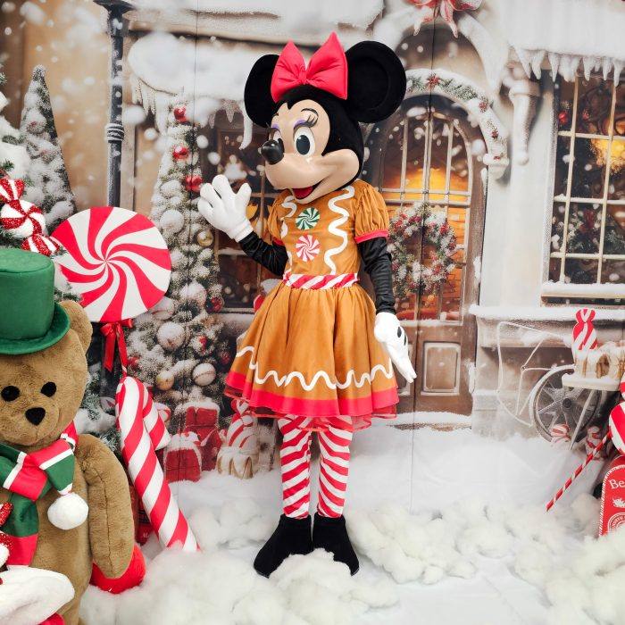 Mrs Mouse Mascot Costume, Adult Mascot Costume, Party Mascot Costume, Event Mascot Costume, Birthday Party Costume, Luxury Mascot Costume Active - Image 6