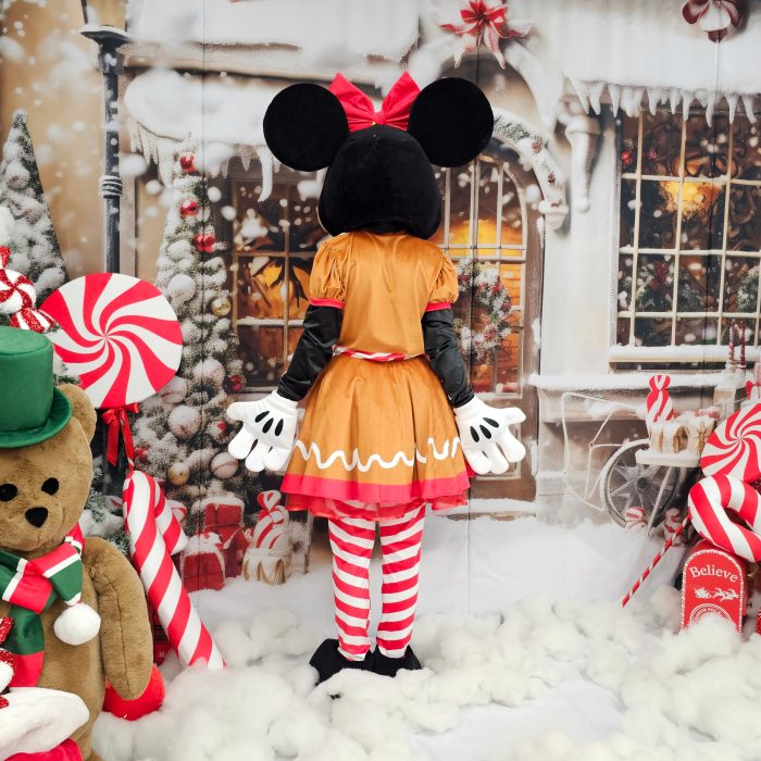 Mrs Mouse Mascot Costume, Adult Mascot Costume, Party Mascot Costume, Event Mascot Costume, Birthday Party Costume, Luxury Mascot Costume Active - Image 4