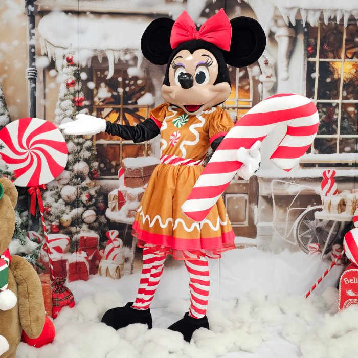 Mrs Mouse Mascot Costume, Adult Mascot Costume, Party Mascot Costume, Event Mascot Costume, Birthday Party Costume, Luxury Mascot Costume Active - Image 3