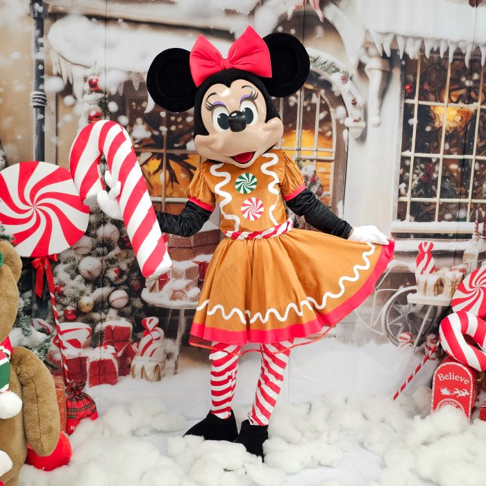 Mrs Mouse Mascot Costume, Adult Mascot Costume, Party Mascot Costume, Event Mascot Costume, Birthday Party Costume, Luxury Mascot Costume Active - Image 2