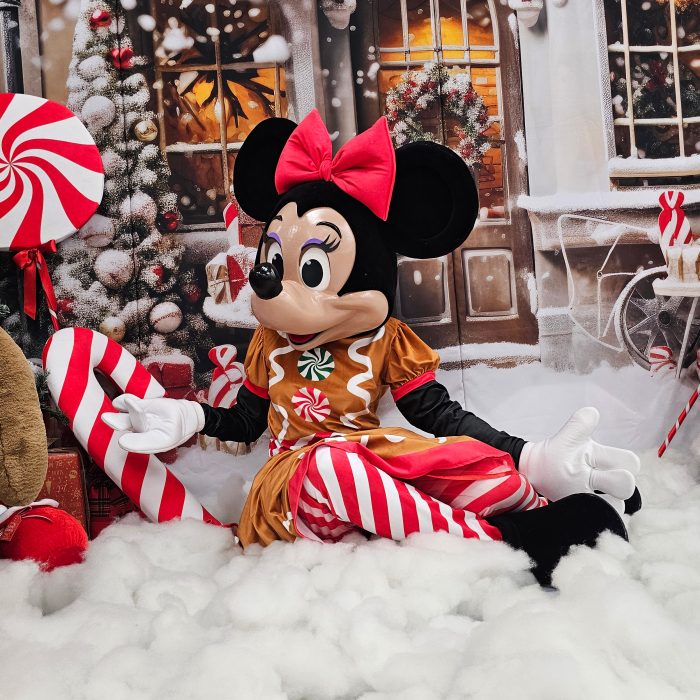 Mrs Mouse Mascot Costume, Adult Mascot Costume, Party Mascot Costume, Event Mascot Costume, Birthday Party Costume, Luxury Mascot Costume Active - Image 15