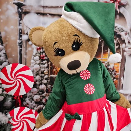 Teddy Bear Mascot Costume, Adult Mascot Costume, Party Mascot Costume, Event Teddy Mascot Costume, Birthday Party Costume, Luxury Mascot Costume