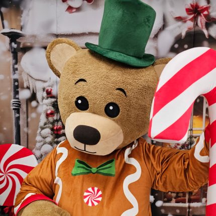 Teddy Bear Mascot Costume, Adult Mascot Costume, Party Mascot Costume, Event Teddy Mascot Costume, Birthday Party Costume, Luxury Mascot Costume