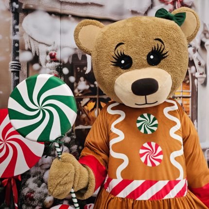 Teddy Bear Mascot Costume, Adult Mascot Costume, Party Mascot Costume, Event Mascot Costume, Birthday Party Costume, Luxury Mascot Costume