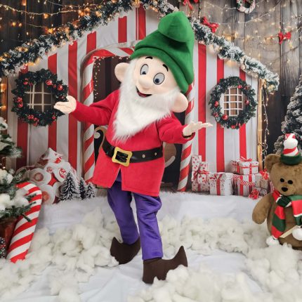 Christmas Dwarf Mascot Costume, Adult Mascot Costume, Party Mascot Costume, Event Mascot Costume, Birthday Party Costume, Luxury Mascot Costume
