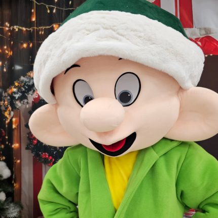 Christmas Dwarf Mascot Costume, Adult Mascot Costume, Party Mascot Costume, Event Mascot Costume, Birthday Party Costume, Luxury Mascot Costume