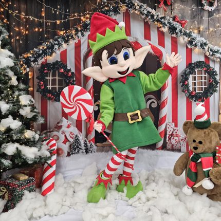 Christmas Elf Mascot Costume, Adult Mascot Costume, Party Mascot Costume, Event Mascot Costume, Birthday Party Costume, Luxury Mascot Costume