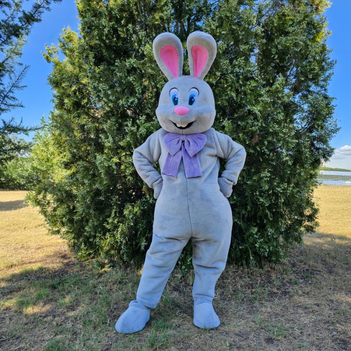 Easter Bunny Mascot Costume, Adult Mascot Costume, Party Mascot Costume, Event Mascot Costume, Birthday Party Costume, Luxury Mascot Costume - Image 3