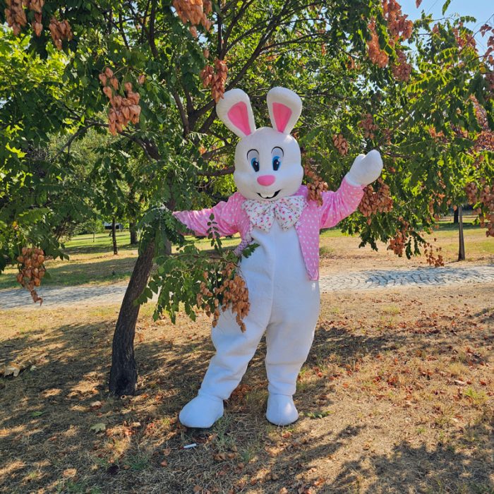 Easter Bunny Mascot Costume, Adult Mascot Costume, Party Mascot Costume, Event Mascot Costume, Birthday Party Costume, Luxury Mascot Costume - Image 4