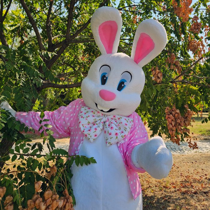 Easter Bunny Mascot Costume, Adult Mascot Costume, Party Mascot Costume, Event Mascot Costume, Birthday Party Costume, Luxury Mascot Costume - Image 1