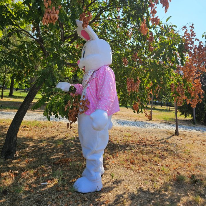 Easter Bunny Mascot Costume, Adult Mascot Costume, Party Mascot Costume, Event Mascot Costume, Birthday Party Costume, Luxury Mascot Costume - Image 3