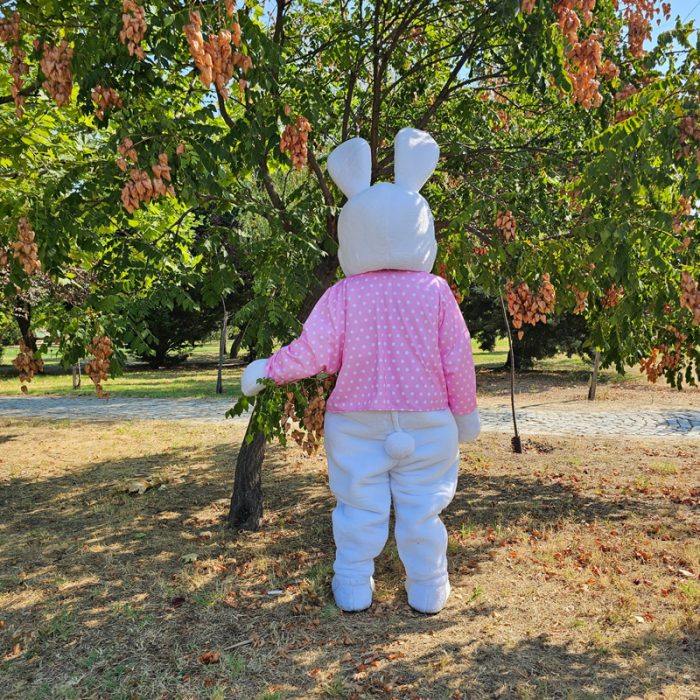 Easter Bunny Mascot Costume, Adult Mascot Costume, Party Mascot Costume, Event Mascot Costume, Birthday Party Costume, Luxury Mascot Costume - Image 2