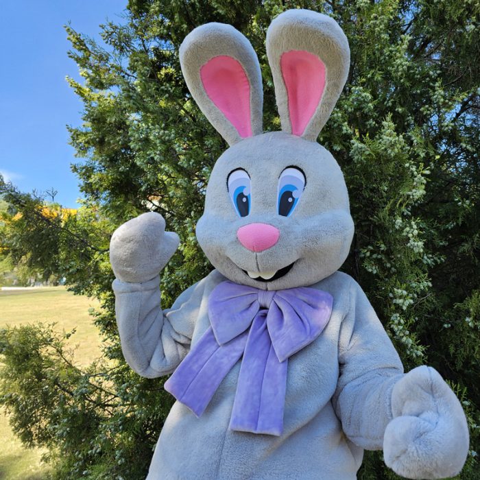 Easter Bunny Mascot Costume, Adult Mascot Costume, Party Mascot Costume, Event Mascot Costume, Birthday Party Costume, Luxury Mascot Costume - Image 1