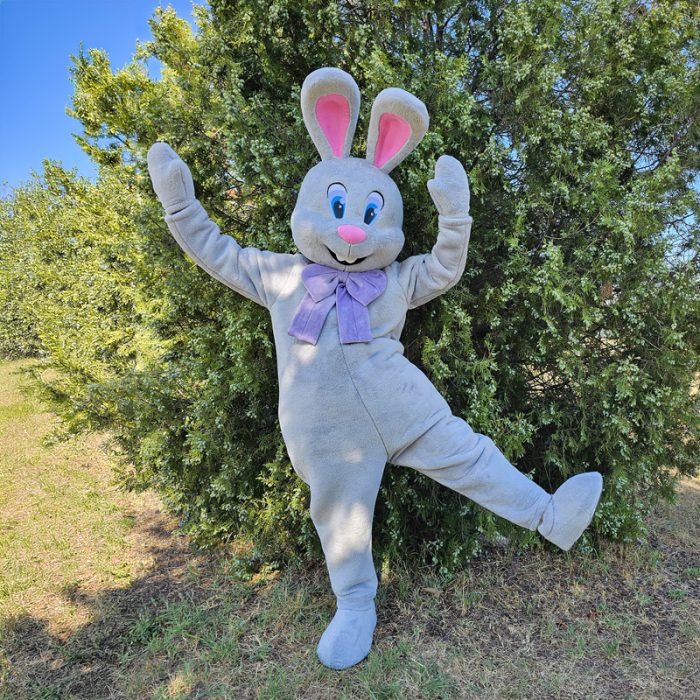 Easter Bunny Mascot Costume, Adult Mascot Costume, Party Mascot Costume, Event Mascot Costume, Birthday Party Costume, Luxury Mascot Costume - Image 2