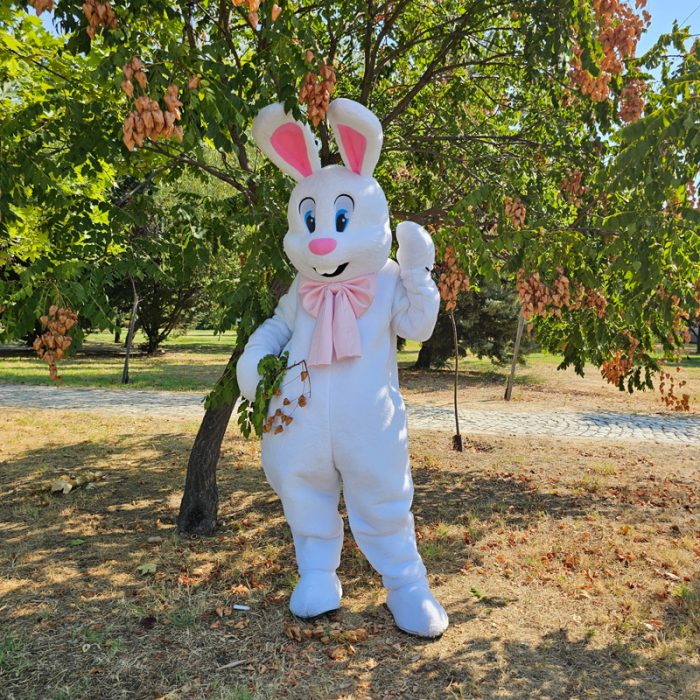 Easter Bunny Mascot Costume, Adult Mascot Costume, Party Mascot Costume, Event Mascot Costume, Birthday Party Costume, Luxury Mascot Costume - Image 4