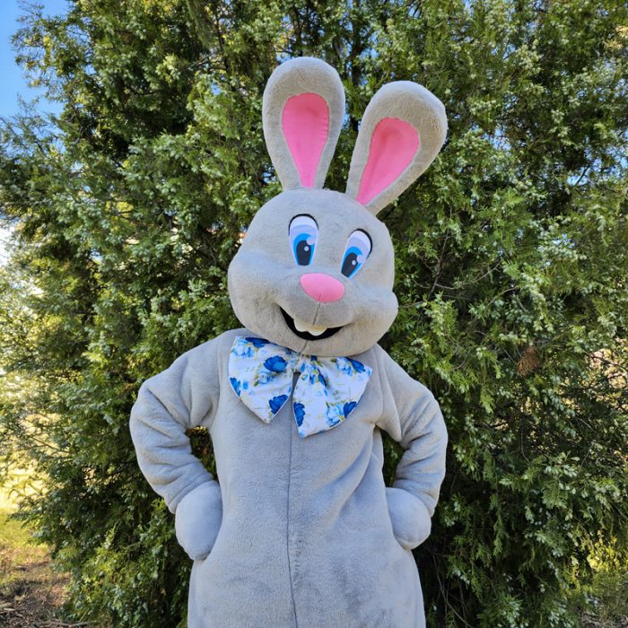 Easter Bunny Mascot Costume, Adult Mascot Costume, Party Mascot Costume, Event Mascot Costume, Birthday Party Costume, Luxury Mascot Costume - Image 1