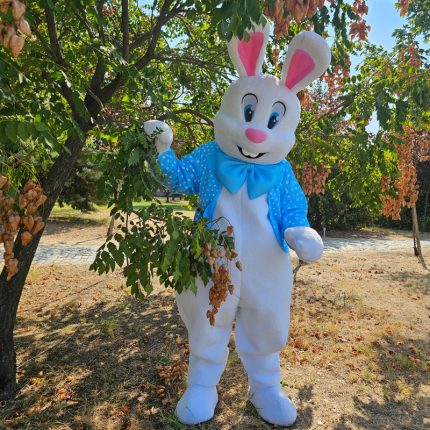 Easter Bunny Mascot Costume, Adult Mascot Costume, Party Mascot Costume, Event Mascot Costume, Birthday Party Costume, Luxury Mascot Costume