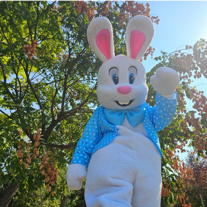 Easter Bunny Mascot Costume, Adult Mascot Costume, Party Mascot Costume, Event Mascot Costume, Birthday Party Costume, Luxury Mascot Costume - Image 2
