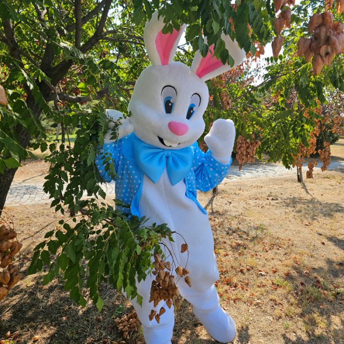 Easter Bunny Mascot Costume, Adult Mascot Costume, Party Mascot Costume, Event Mascot Costume, Birthday Party Costume, Luxury Mascot Costume - Image 3
