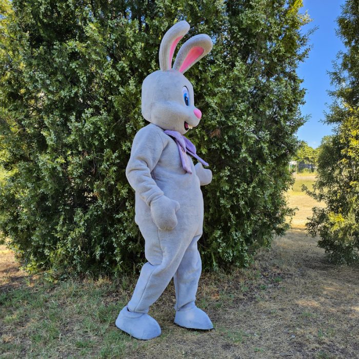 Easter Bunny Mascot Costume, Adult Mascot Costume, Party Mascot Costume, Event Mascot Costume, Birthday Party Costume, Luxury Mascot Costume - Image 5