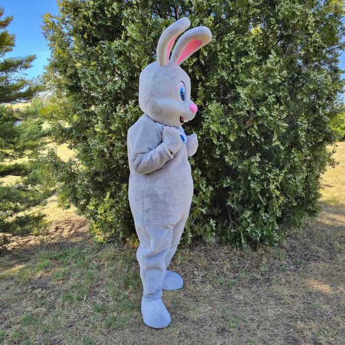 Easter Bunny Mascot Costume, Adult Mascot Costume, Party Mascot Costume, Event Mascot Costume, Birthday Party Costume, Luxury Mascot Costume - Image 4