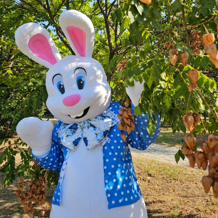 Easter Bunny Mascot Costume, Adult Mascot Costume, Party Mascot Costume, Event Mascot Costume, Birthday Party Costume, Luxury Mascot Costume - Image 1