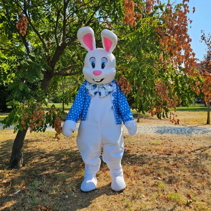 Easter Bunny Mascot Costume, Adult Mascot Costume, Party Mascot Costume, Event Mascot Costume, Birthday Party Costume, Luxury Mascot Costume - Image 3