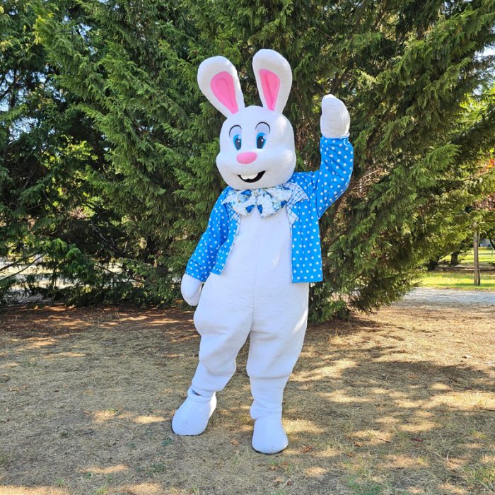 Easter Bunny Mascot Costume, Adult Mascot Costume, Party Mascot Costume, Event Mascot Costume, Birthday Party Costume, Luxury Mascot Costume - Image 2