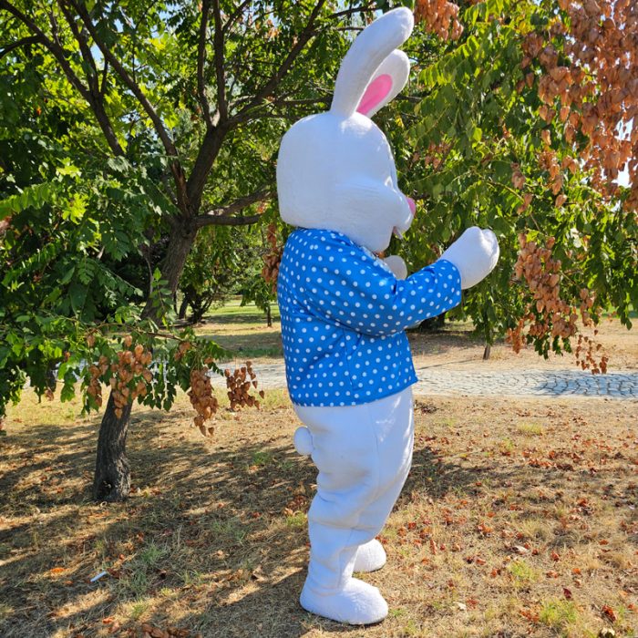 Easter Bunny Mascot Costume, Adult Mascot Costume, Party Mascot Costume, Event Mascot Costume, Birthday Party Costume, Luxury Mascot Costume - Image 5
