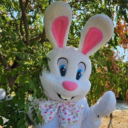 Easter Bunny Mascot Costume, Adult Mascot Costume, Party Mascot Costume, Event Mascot Costume, Birthday Party Costume, Luxury Mascot Costume