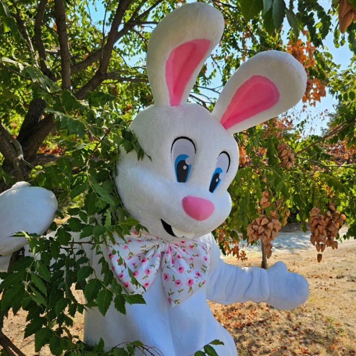 Easter Bunny Mascot Costume, Adult Mascot Costume, Party Mascot Costume, Event Mascot Costume, Birthday Party Costume, Luxury Mascot Costume - Image 2