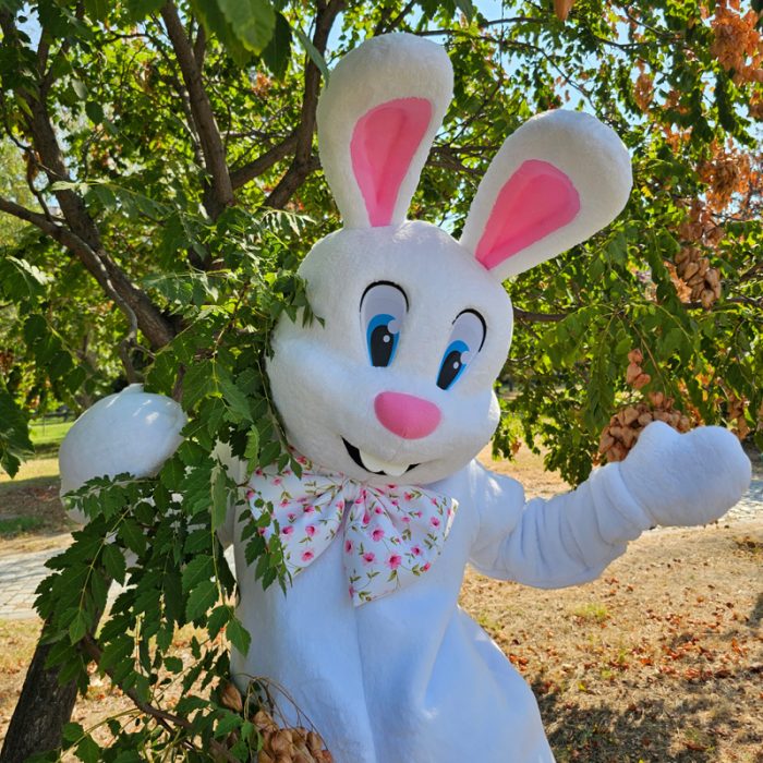 Easter Bunny Mascot Costume, Adult Mascot Costume, Party Mascot Costume, Event Mascot Costume, Birthday Party Costume, Luxury Mascot Costume - Image 3