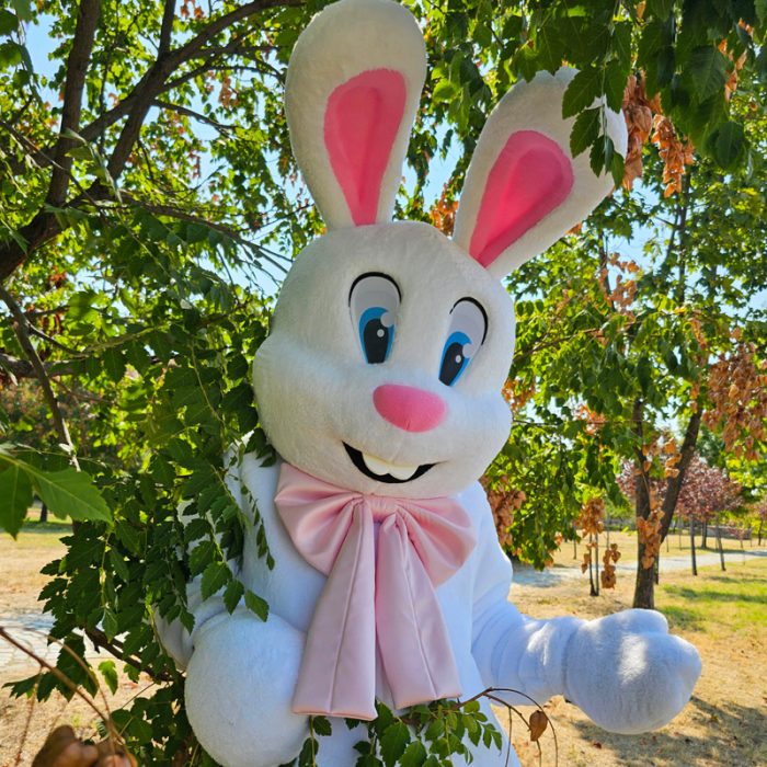 Easter Bunny Mascot Costume, Adult Mascot Costume, Party Mascot Costume, Event Mascot Costume, Birthday Party Costume, Luxury Mascot Costume - Image 1