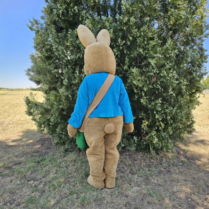 Easter Bunny Mascot Costume, Adult Mascot Costume, Party Mascot Costume, Event Mascot Costume, Birthday Party Costume, Luxury Mascot Costume - Image 4
