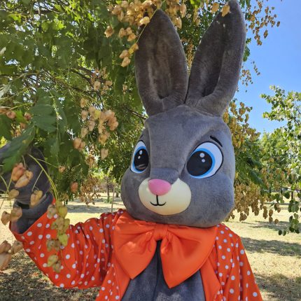 Easter Bunny Mascot Costume, Adult Mascot Costume, Party Mascot Costume, Event Mascot Costume, Birthday Party Costume, Luxury Mascot Costume