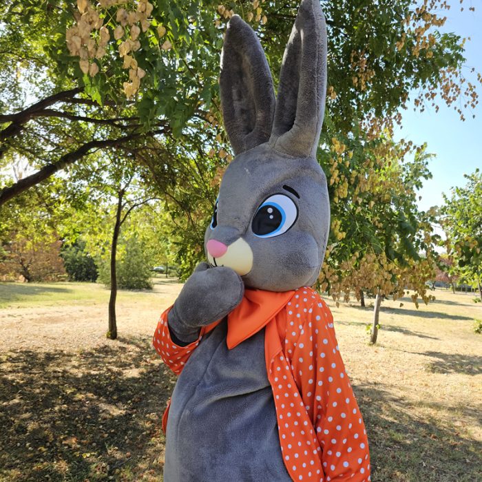 Easter Bunny Mascot Costume, Adult Mascot Costume, Party Mascot Costume, Event Mascot Costume, Birthday Party Costume, Luxury Mascot Costume - Image 9