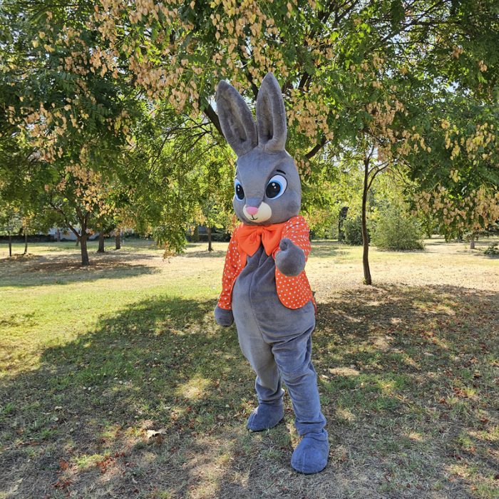 Easter Bunny Mascot Costume, Adult Mascot Costume, Party Mascot Costume, Event Mascot Costume, Birthday Party Costume, Luxury Mascot Costume - Image 7