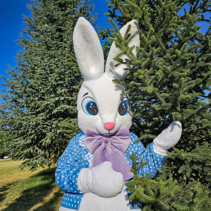 Easter Bunny Mascot Costume, Adult Mascot Costume, Party Mascot Costume, Event Mascot Costume, Birthday Party Costume, Luxury Mascot Costume - Image 1
