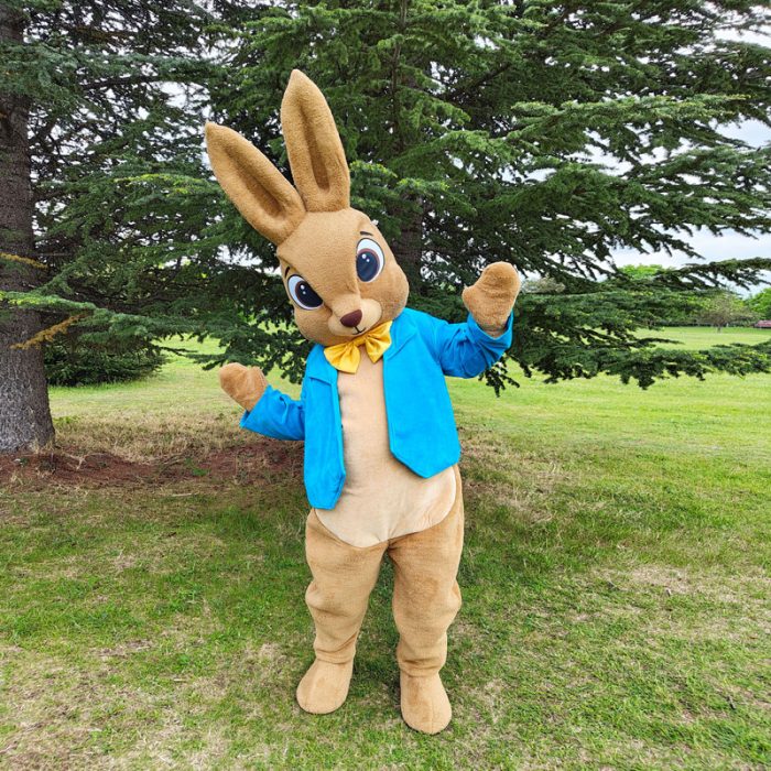 Bunny Mascot Costume, Adult Mascot Costume, Party Mascot Costume, Event Mascot Costume, Birthday Party Costume, Luxury Mascot Costume - Image 6