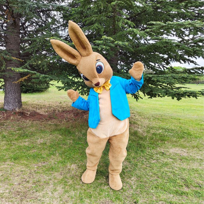 Bunny Mascot Costume, Adult Mascot Costume, Party Mascot Costume, Event Mascot Costume, Birthday Party Costume, Luxury Mascot Costume - Image 2