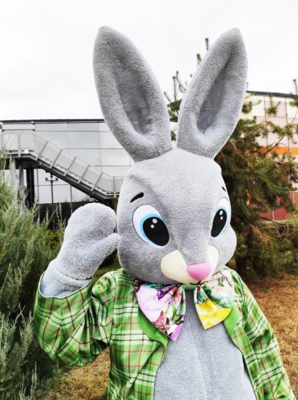 Bunny Mascot Costume, Adult Mascot Costume, Party Mascot Costume, Event Mascot Costume, Birthday Party Costume, Luxury Mascot Costume