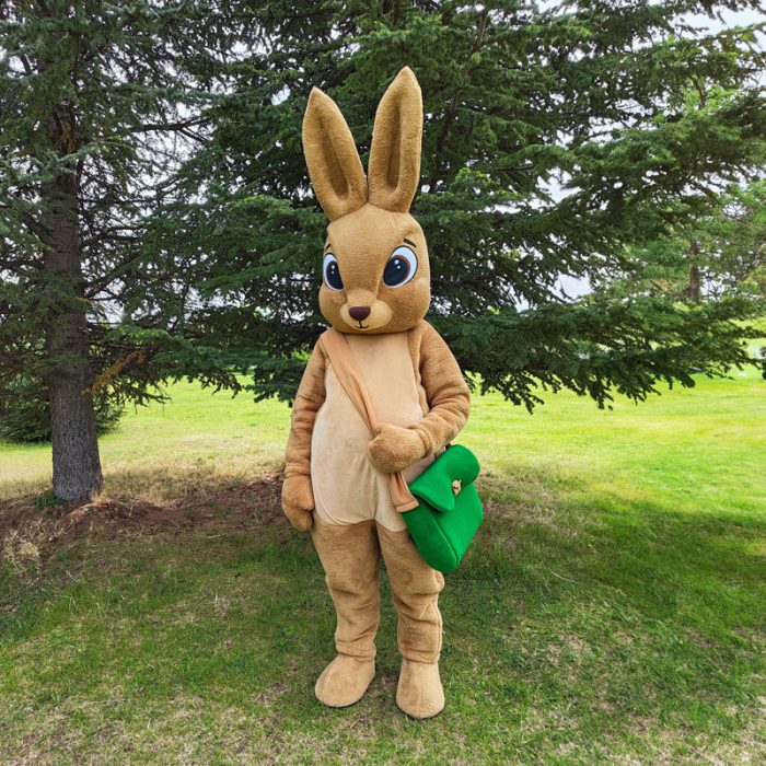 Bunny Mascot Costume, Adult Mascot Costume, Party Mascot Costume, Event Mascot Costume, Birthday Party Costume, Luxury Mascot Costume - Image 3