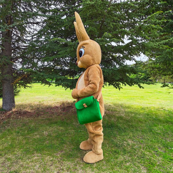 Bunny Mascot Costume, Adult Mascot Costume, Party Mascot Costume, Event Mascot Costume, Birthday Party Costume, Luxury Mascot Costume - Image 4